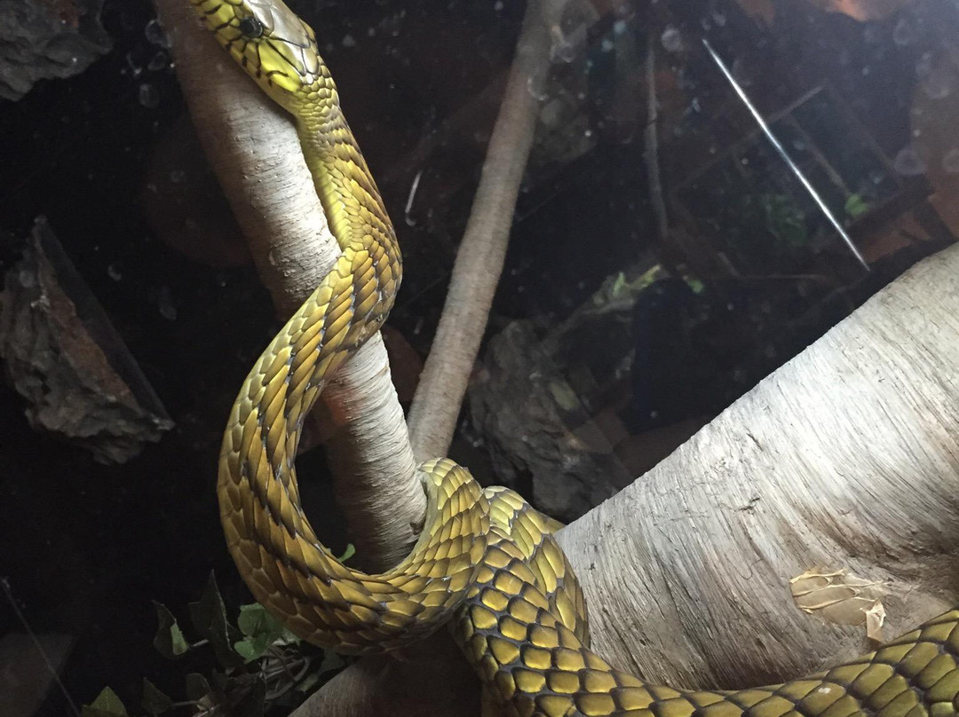 Wildlife Discovery Center-Lake Forest必去景点