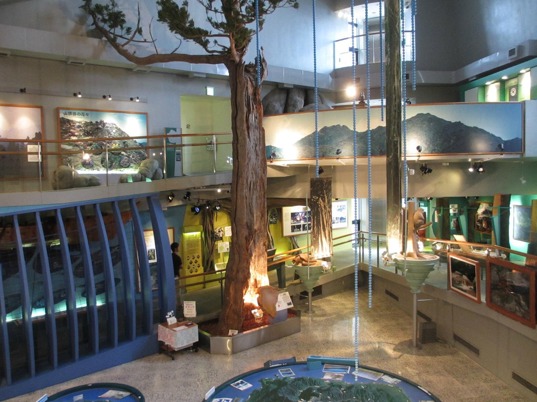 Yakushima Environmental Culture Village Center景点图片