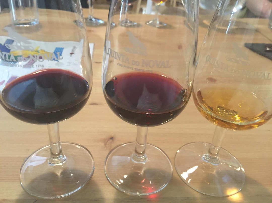 Culinary Backstreets Lisbon-里斯本必去景点