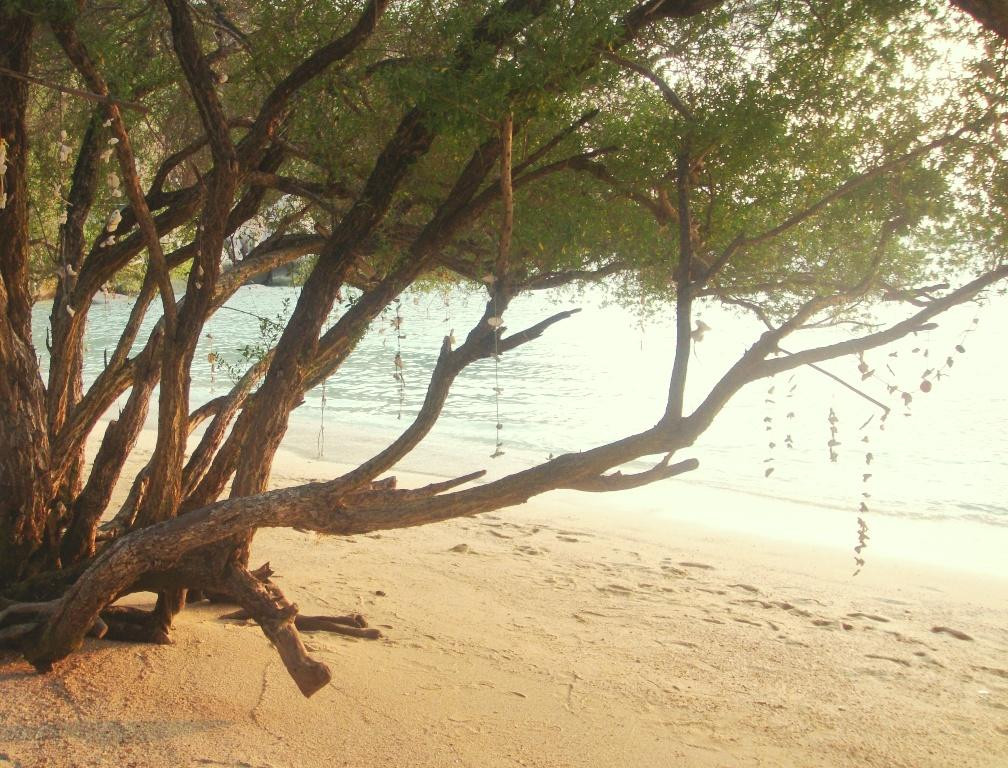石头湾-涛岛必去景点
