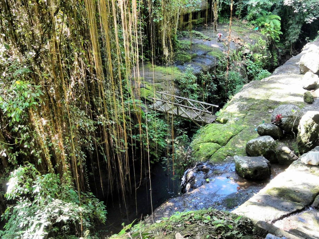 Tebing Tegallinggah Temple景点图片