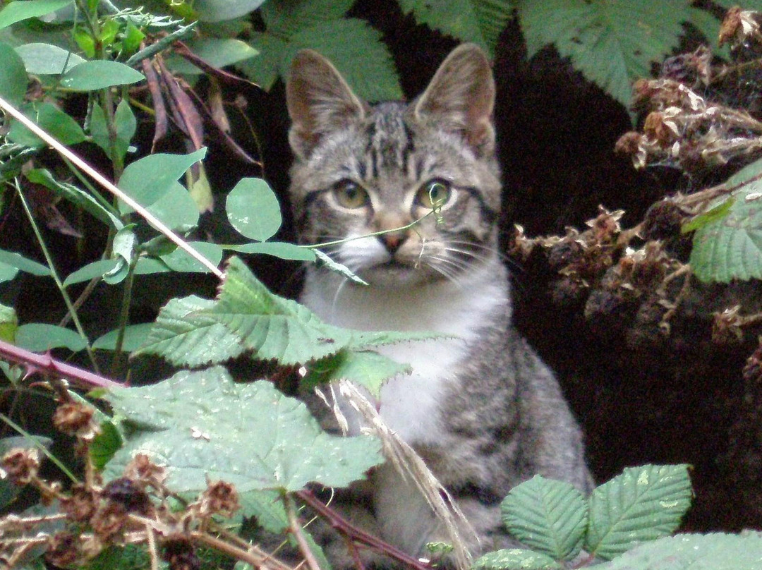 WinterRiver Books & Gallery-班登必去景点