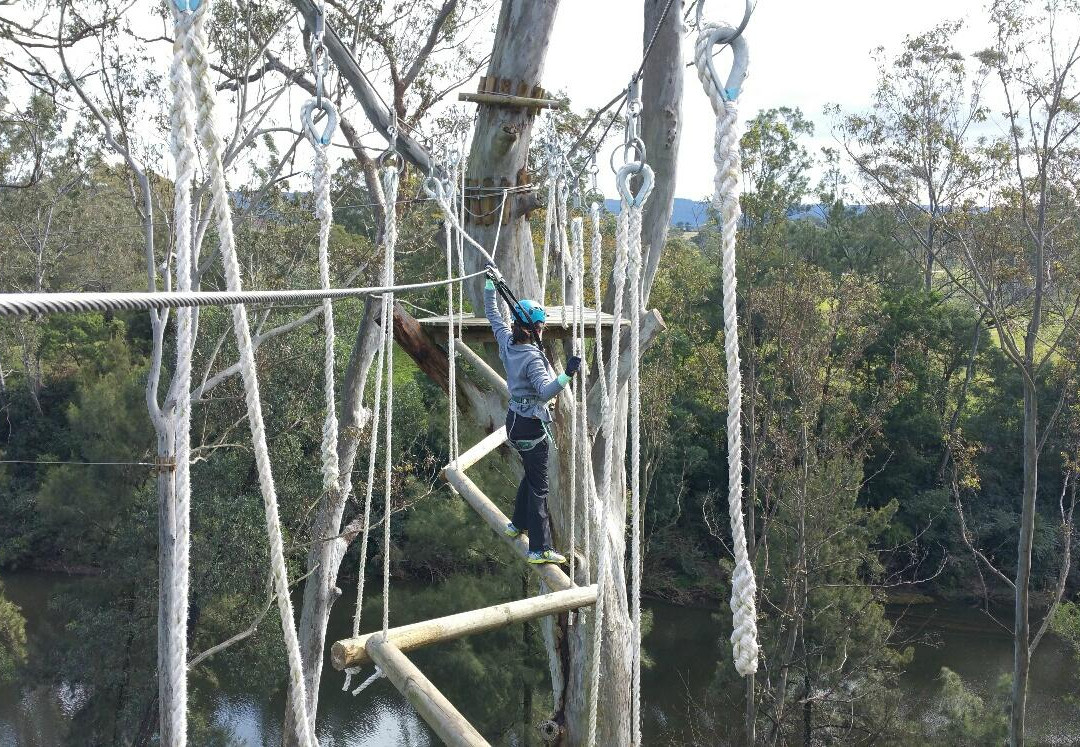 Treetops Adventure Yarramundi景点图片