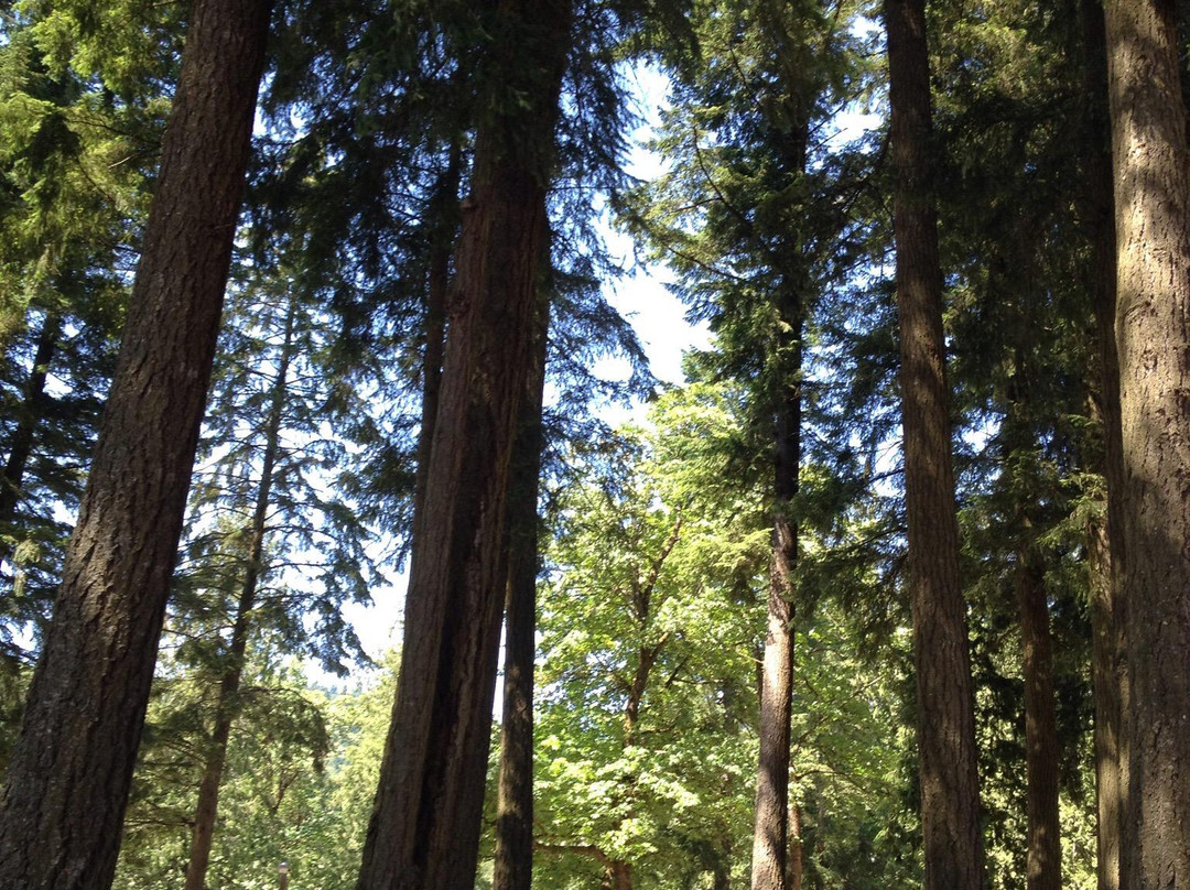 Cultus Lake景点图片