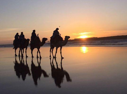 Lima Dromadaire-索维拉必去景点