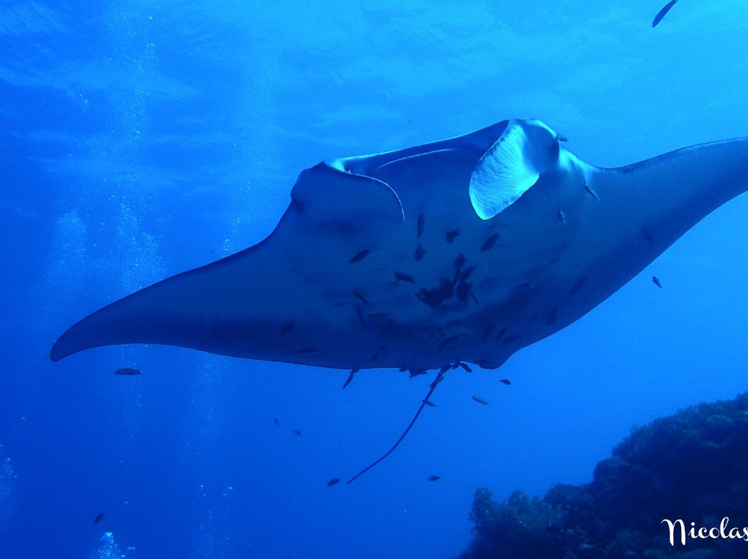 NEREN Diving Komodo-Labuan Bajo必去景点