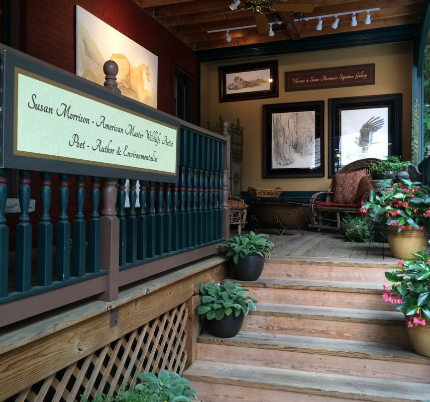 Susan Morrison's Signature Gallery-尤里卡斯普林斯必去景点