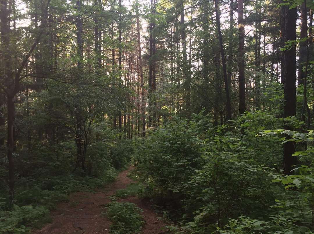 兴安森林公园-伊春市必去景点