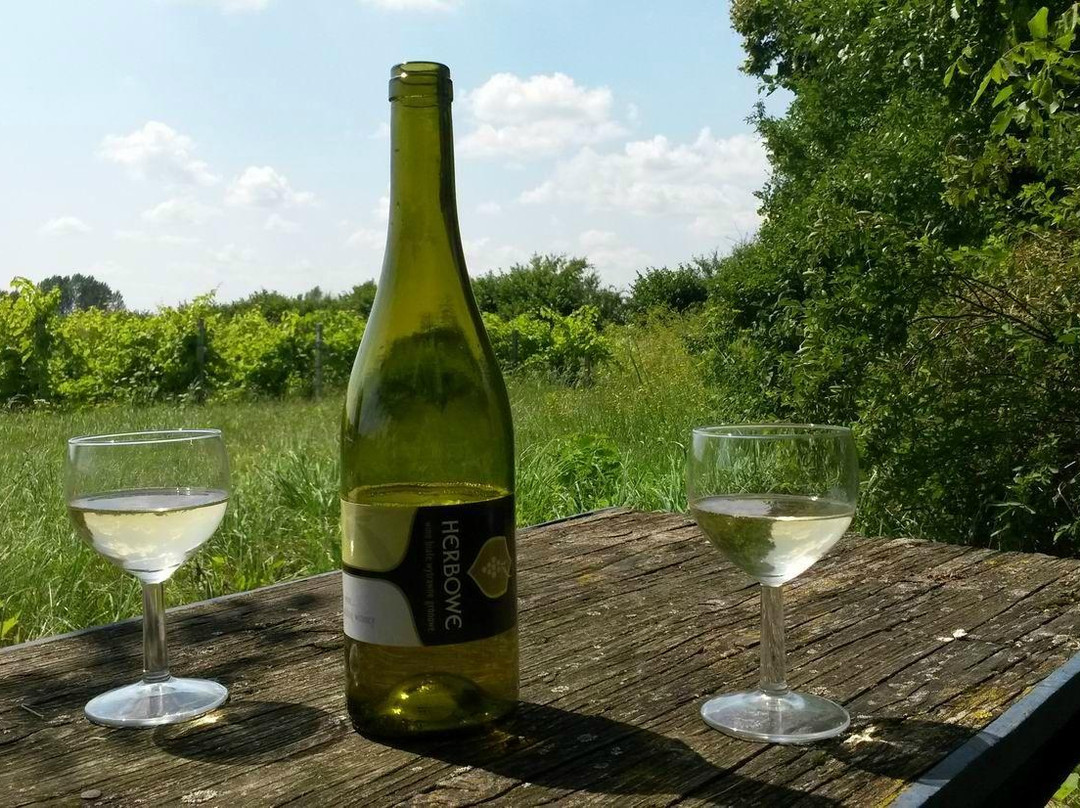 Zbrodzice Vinery景点图片
