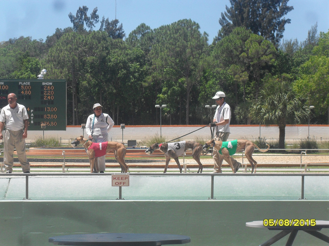 Naples Fort Myers Greyhound Track-博尼塔斯普林斯必去景点