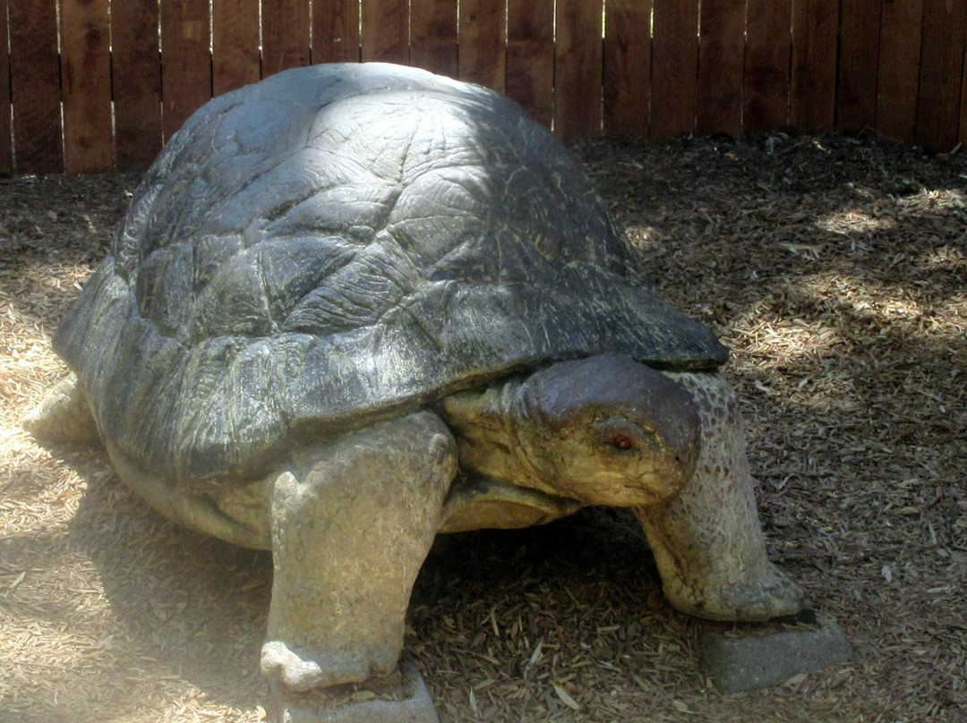 Micke Grove Zoo-洛迪必去景点