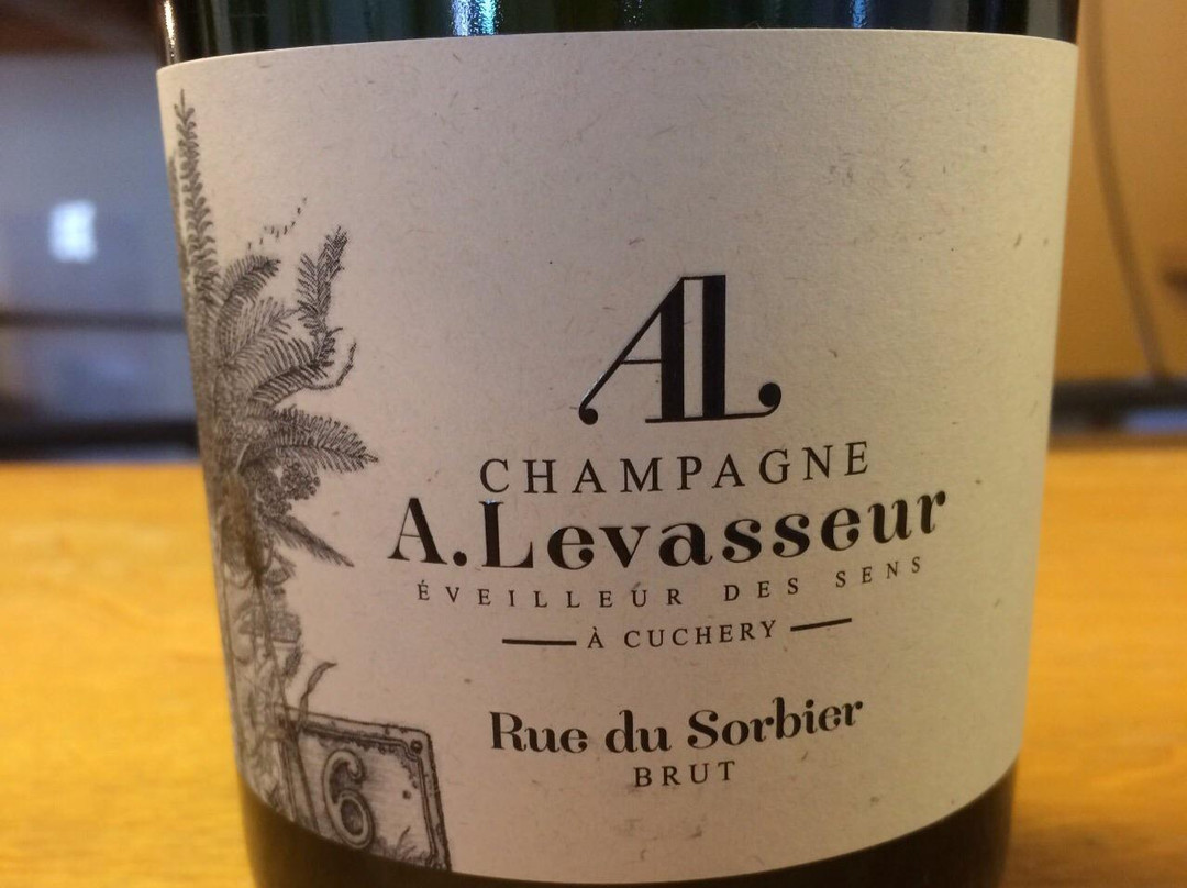 Champagne Albert Levasseur景点图片