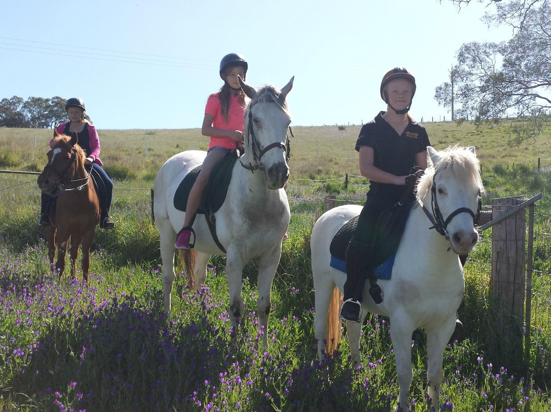 Nyroca Riding Centre景点图片