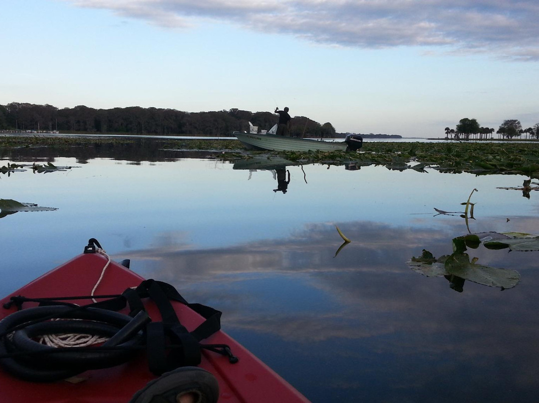 Kayaking Florida Waters景点图片