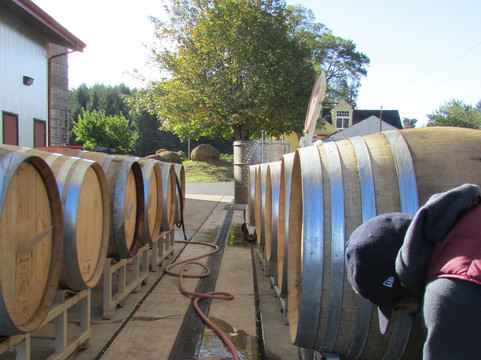 Mystic Wines-塞勒姆必去景点