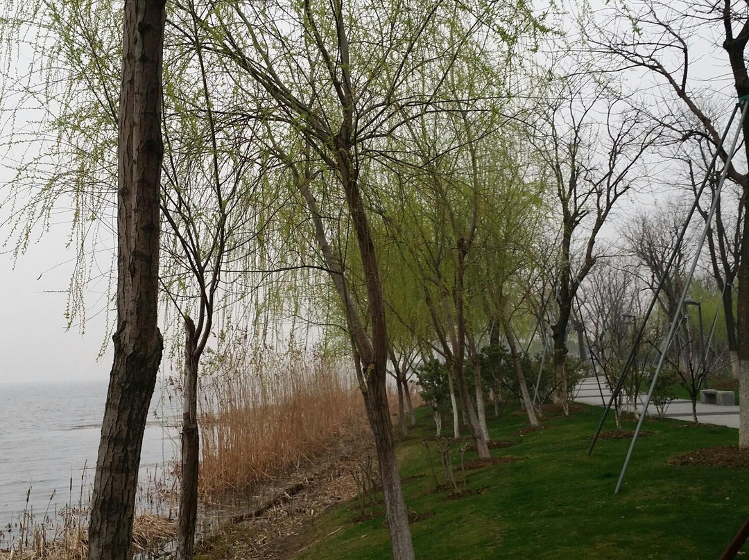 阳澄湖景点图片