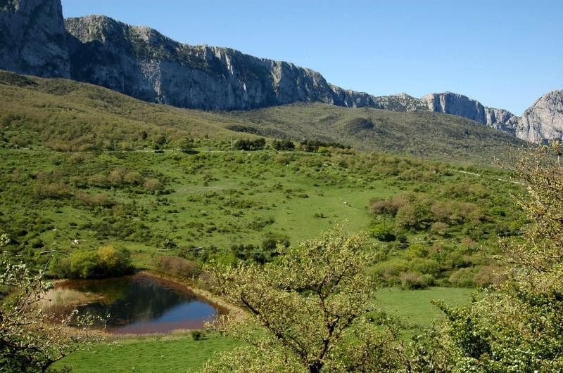 Riserva Naturale Orientata Bosco della Ficuzza景点图片