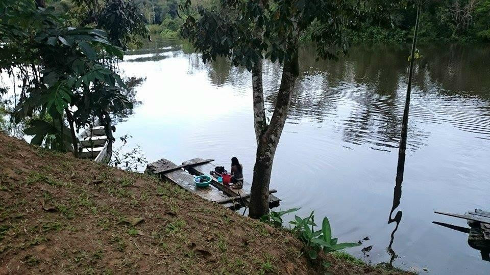 Puerto Narino旅游攻略图片