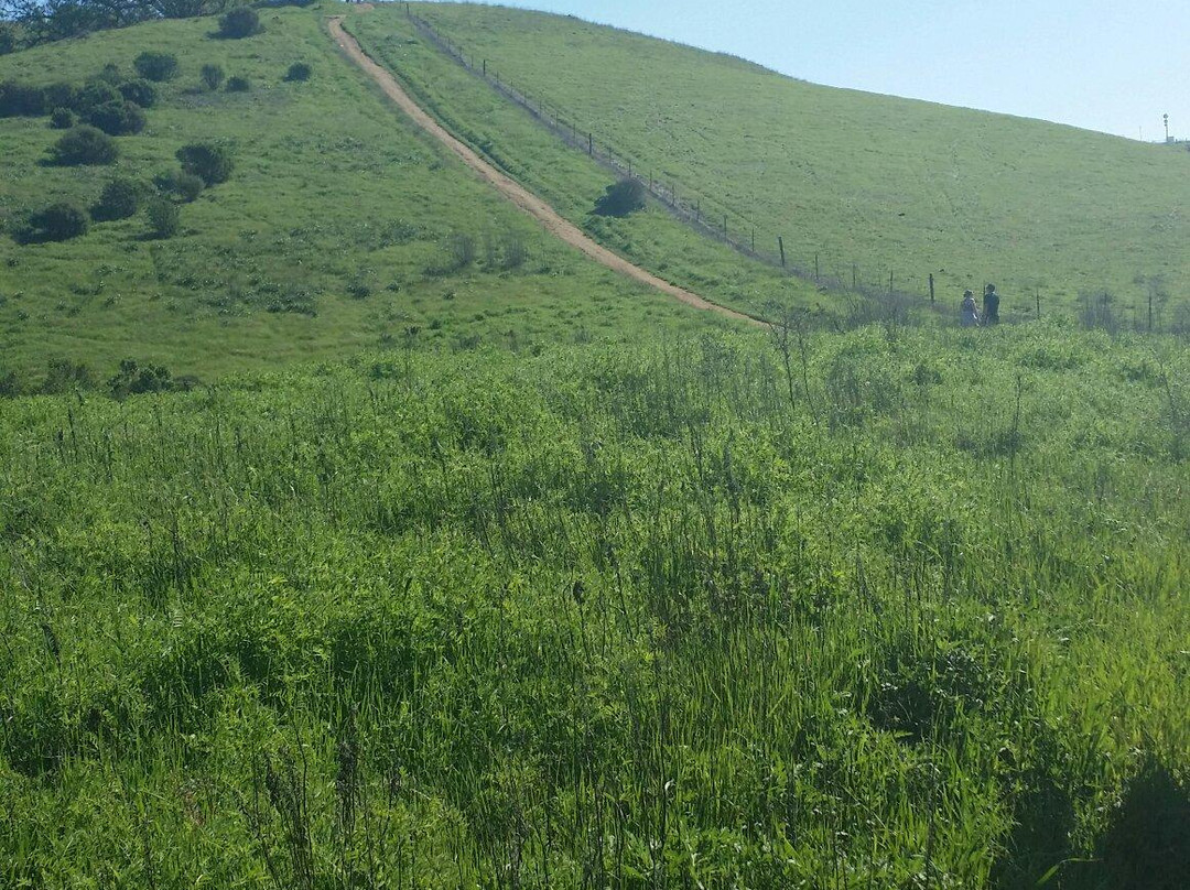 Lagoon Valley/Pena Adobe Regional Park-瓦卡维尔必去景点