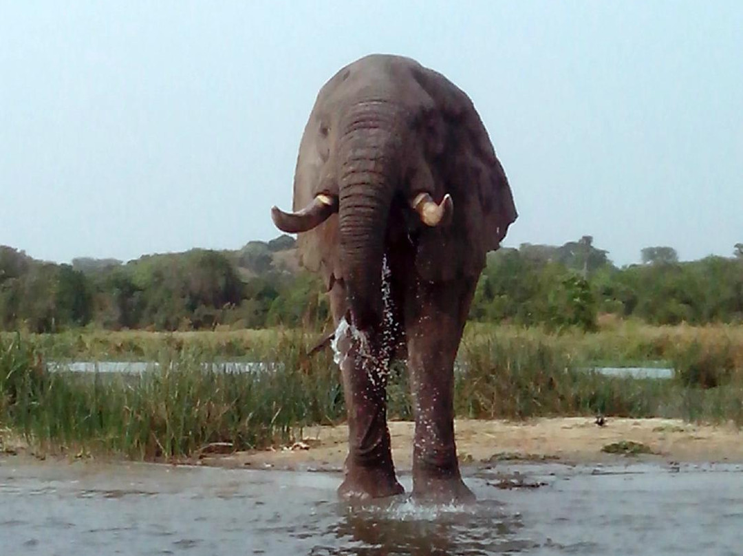 Upper Nile Safaris-坎帕拉必去景点