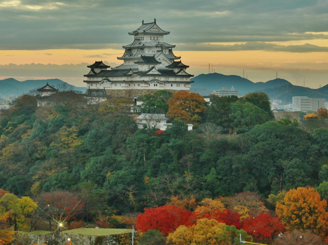 Otokoyama Hachimangu Shrine景点图片