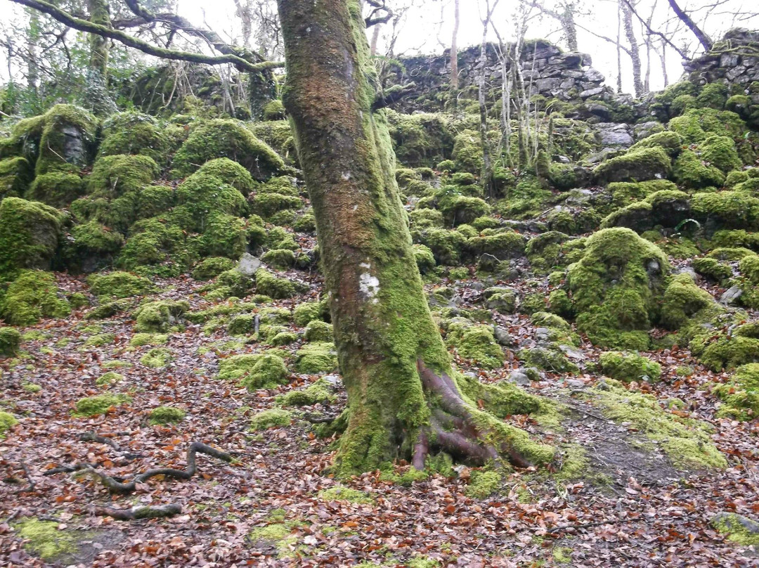 The Hill of Maeve-Tuam必去景点
