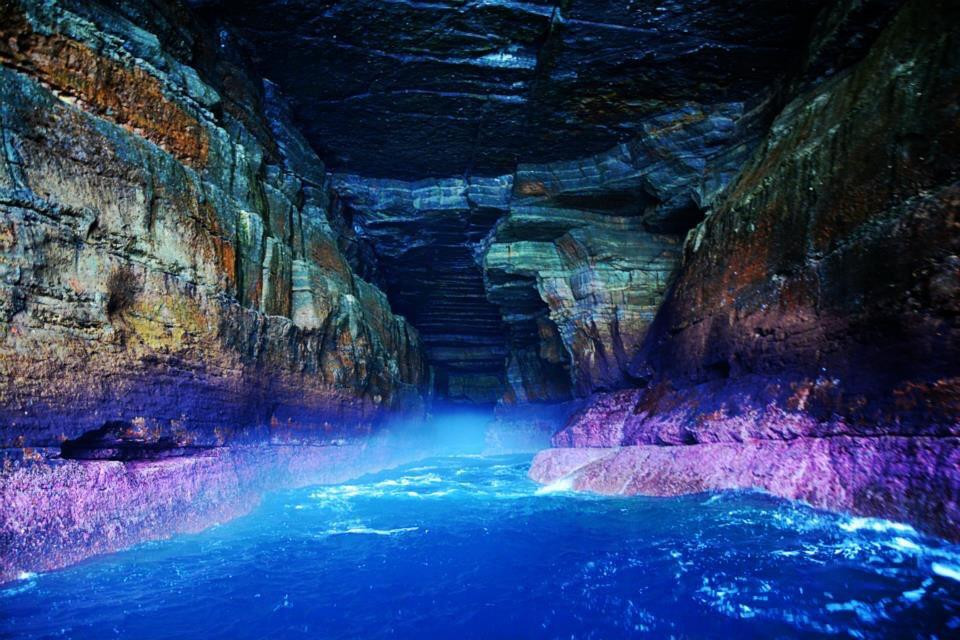 杰维斯湾野生巡航-赫斯基森必去景点