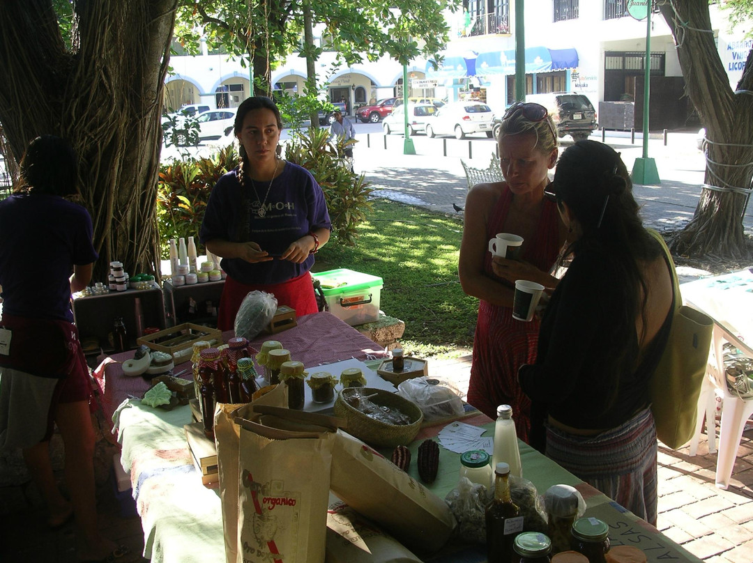 Mercado Orgánico Huatulco-Crucecita必去景点