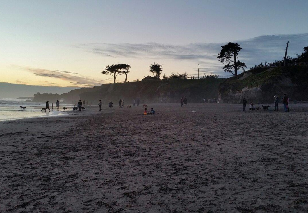 西崖路-圣克鲁斯必去景点