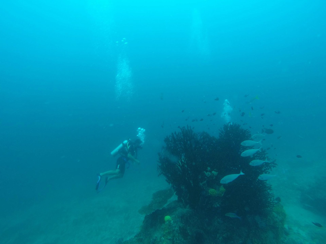La Salangane Dive Center-爱妮岛必去景点