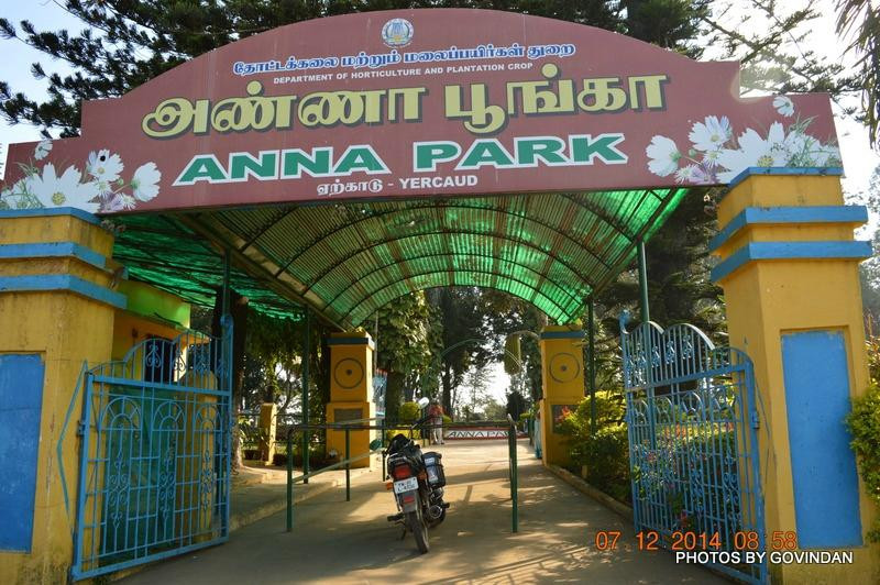 Anna Park