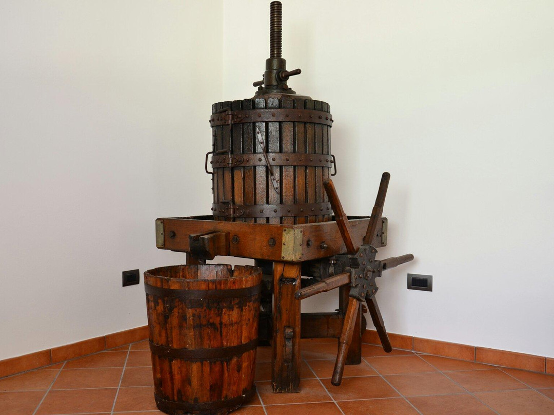 Cantina Concarena景点图片
