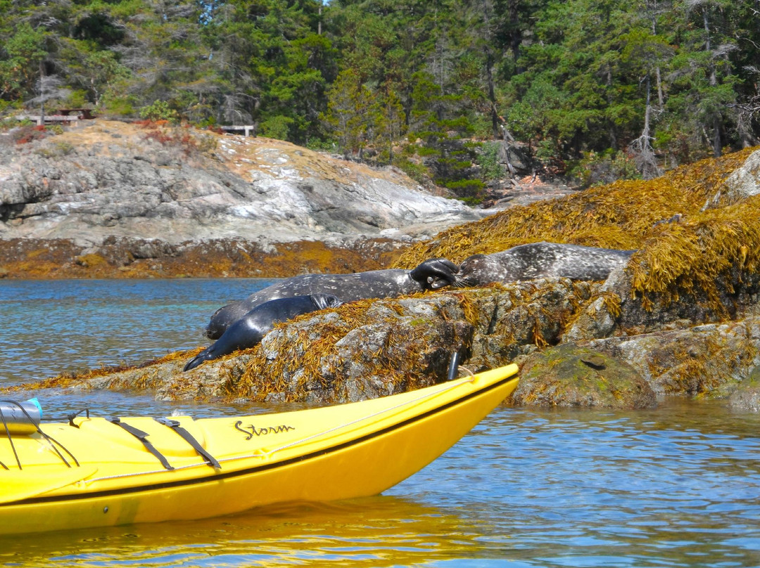 Copeland Islands Marine Provincial Park-鲍威尔里弗必去景点