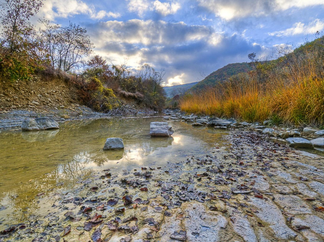 Dragonja River景点图片