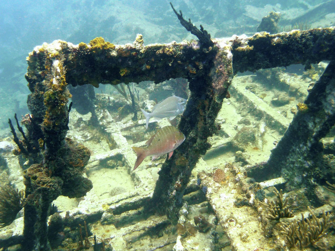 Rhone National Marine Park景点图片