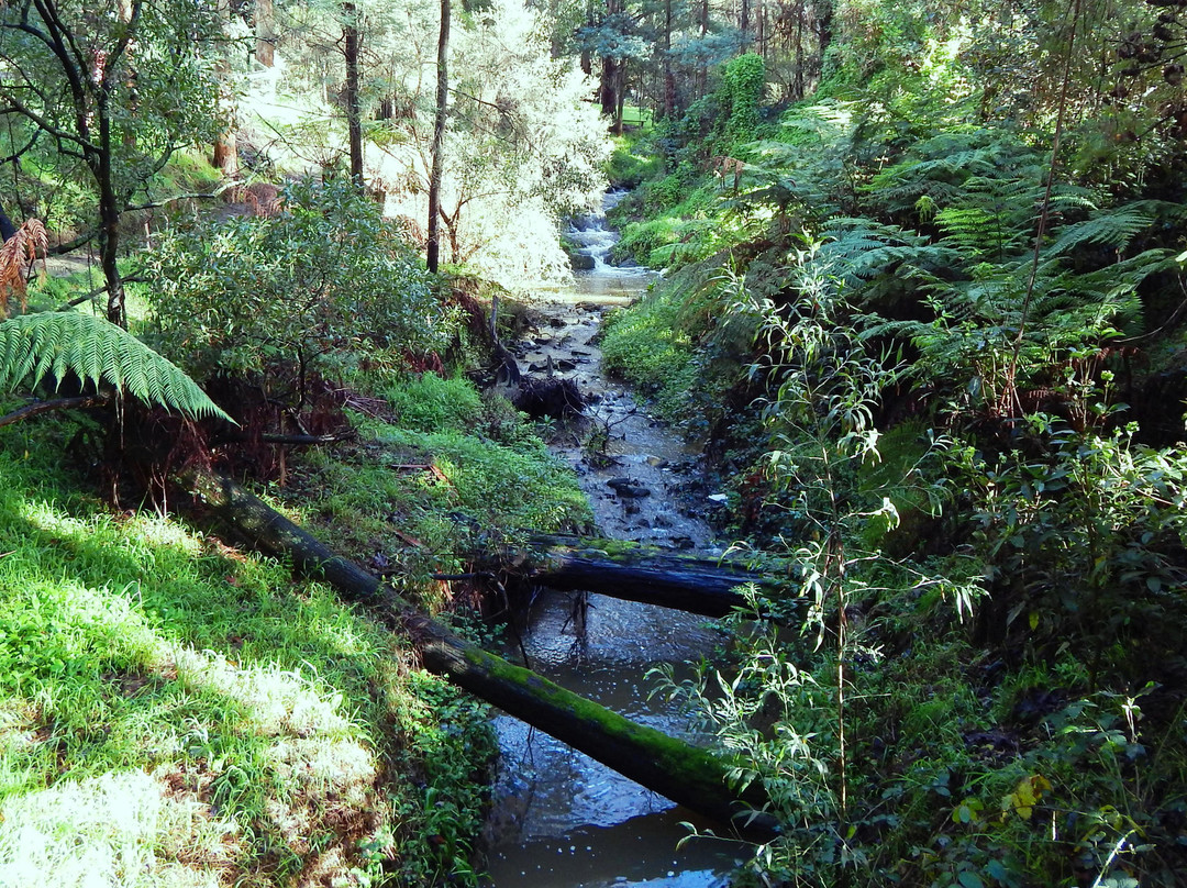 Korumburra Botanic Park-科伦布拉必去景点