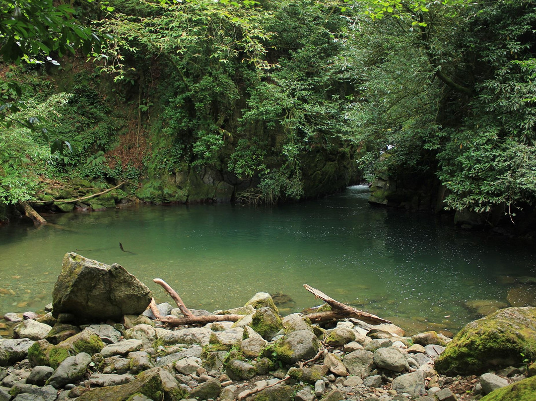 Mtirala National Park-Chakvistavi必去景点