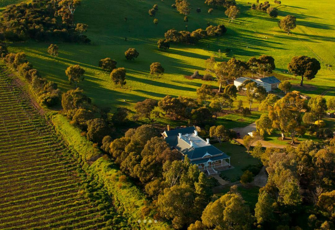 Pindarie Winery景点图片