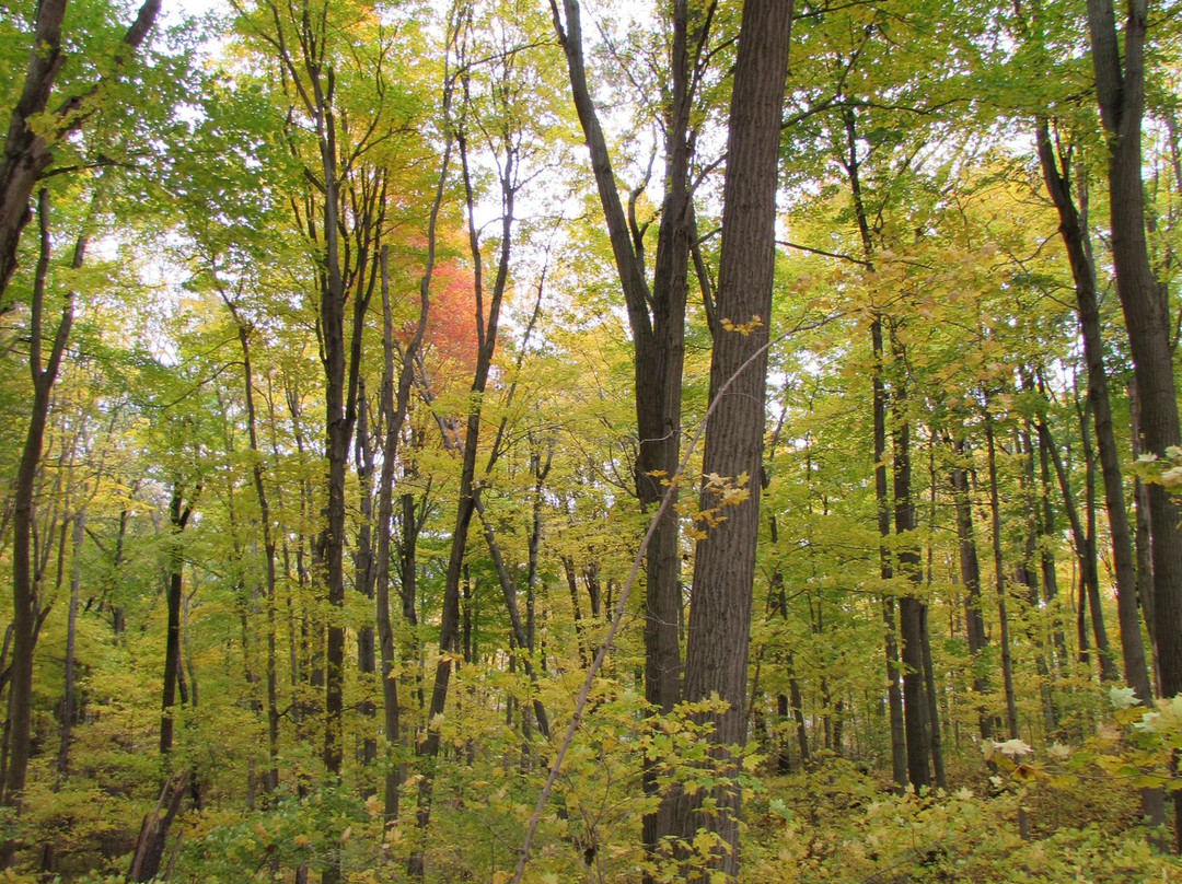 Boler Mountain-伦敦必去景点