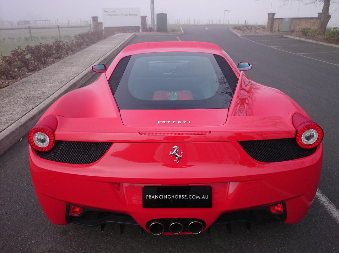 Prancing Horse Drive Experiences - Yarra Valley景点图片
