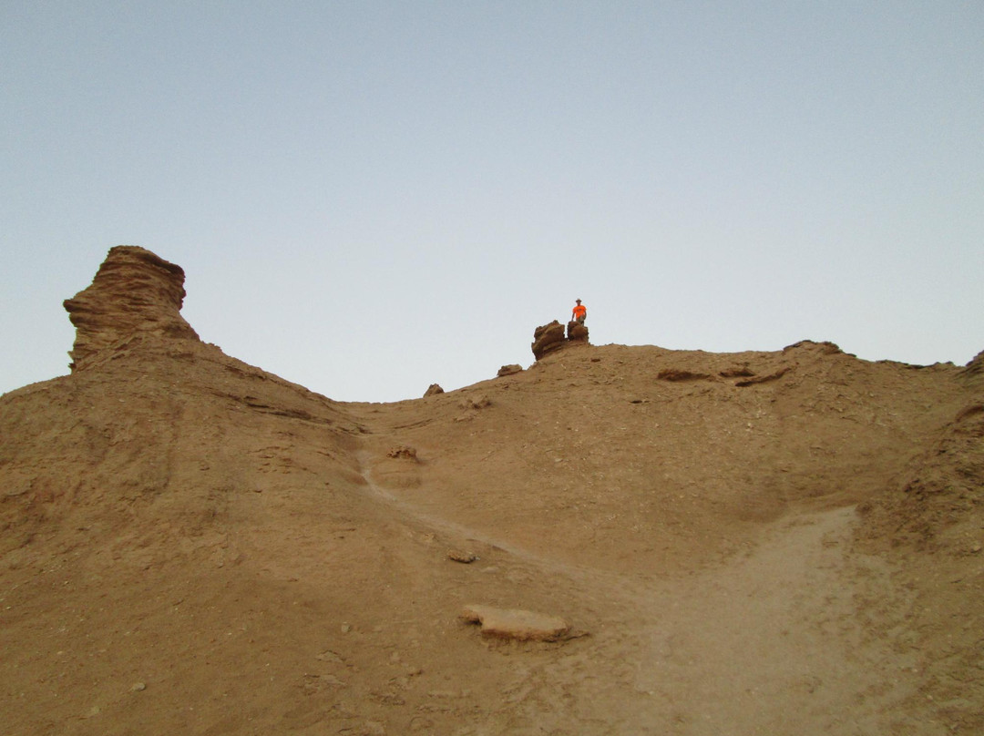 Ali Touareg Tour Guide-吐泽尔必去景点