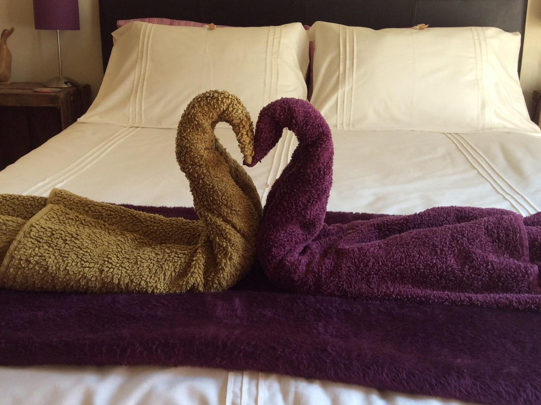 Devon's Duck n Dane B&B主图