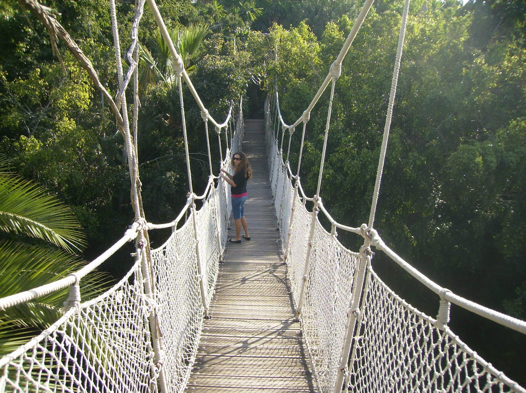 Chayofa旅游景点-Parque Ecologico Las Aguilas del Teide