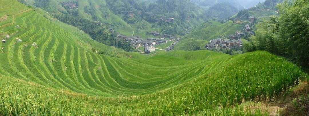 龙胜梯田景点图片