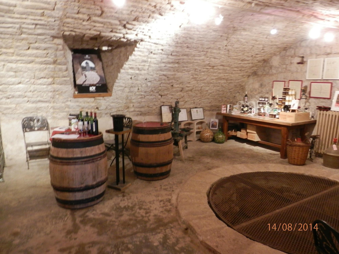 Château Lacapelle Cabanac景点图片