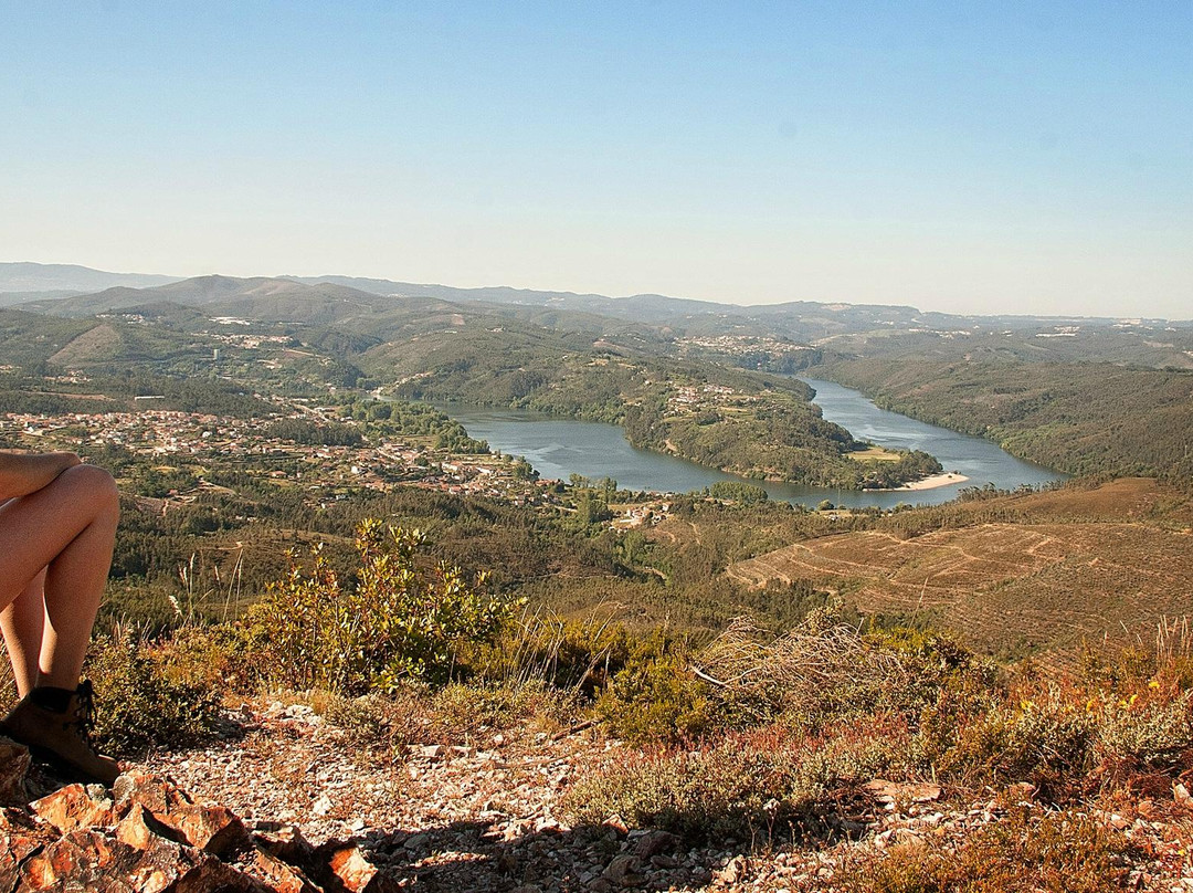 Alma D'Ouro-波尔图必去景点