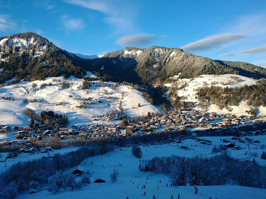 Praz Sur Arly旅游攻略图片