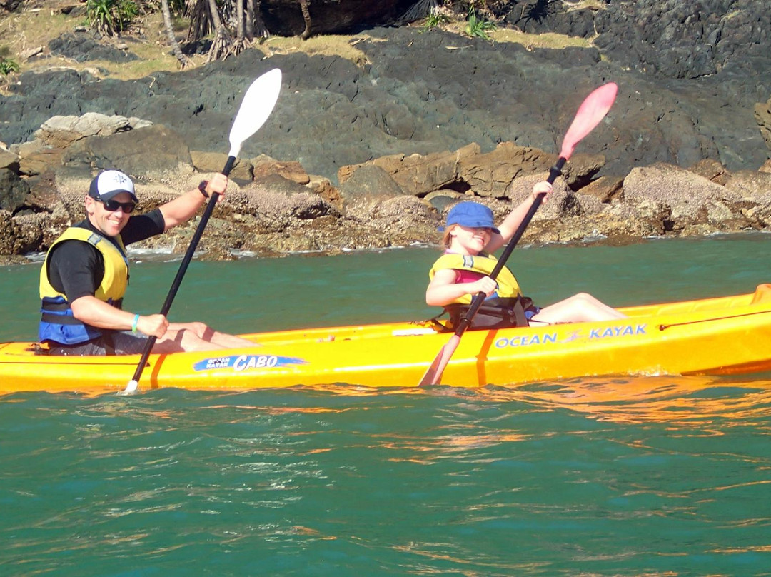 Tropical Sea Kayaks-Cow Bay必去景点
