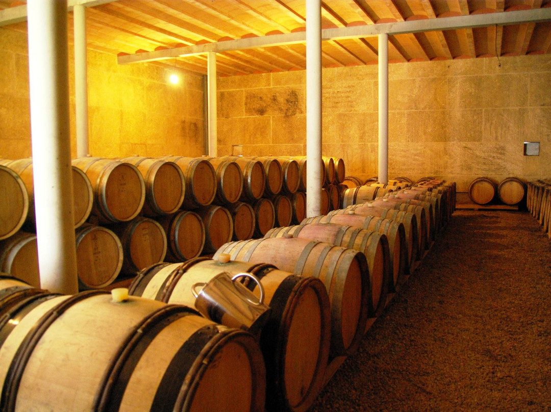 Domaine Delmas-Antugnac必去景点