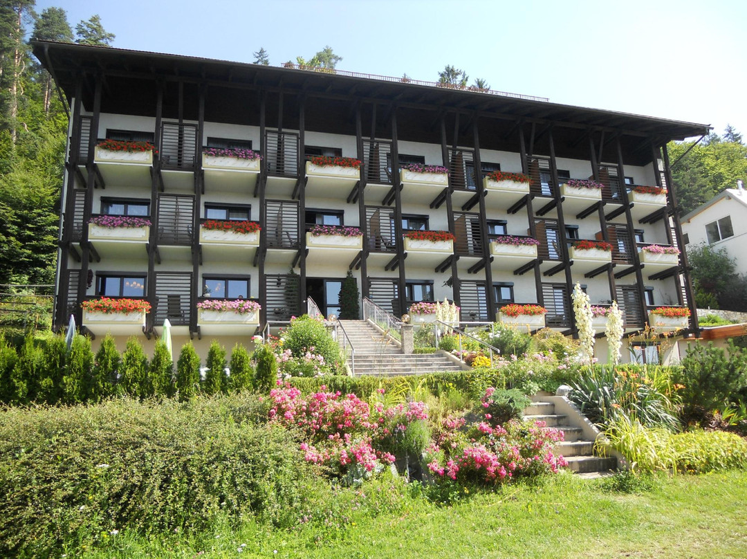 Hotel Garni Fruehstueckspension NEFF主图